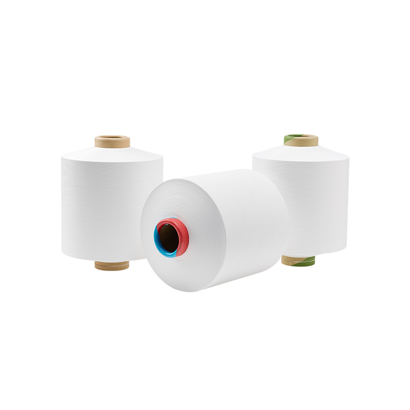 Nylon 6 ACY Yarn: Spesifikasi, Aplikasi & Panduan Pemilihan Pembekal